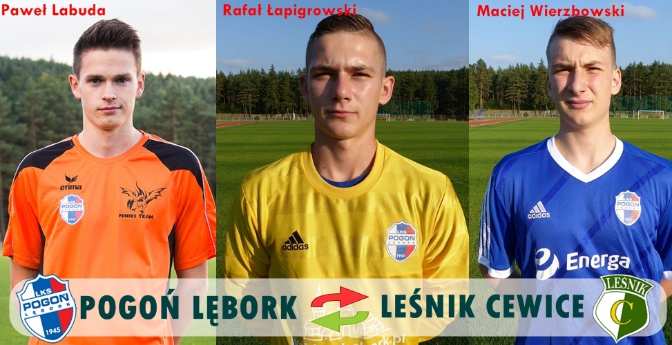 transfery_pogon_lesnik_2016.jpg